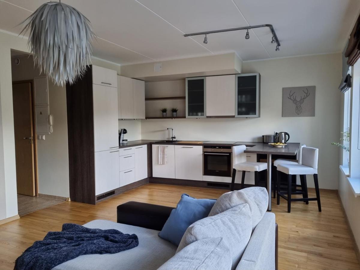 R63 Apartment With Terrace ตาร์ตู ภายนอก รูปภาพ